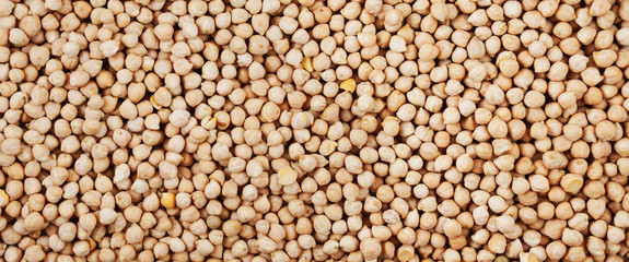 Raw chickpeas, panorama, background, texture.