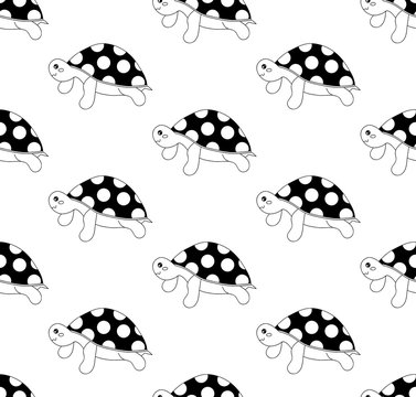 Cute Turtle on White Background