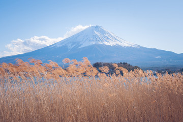 Fototapeta premium Beautiful landscape view of Fuji mountain or Mt.Fuji covered with white snow in winter seasonal at Kawaguchiko Lake, Japan.