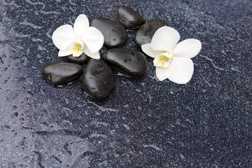 Two orchid flowers and stones. Spa background.
