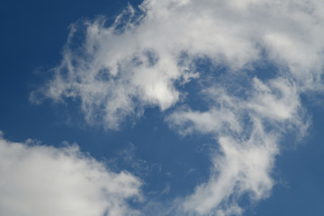 Fototapeta na wymiar 青空と雲「空想・雲のモンスターたち」とぐろを巻く、巻きつく、愛情深く見守る姿などのイメージ