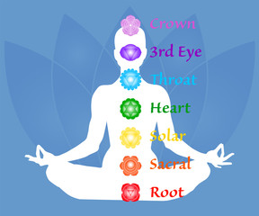 The seven chakra names map. Famale body in lotus yoga asana on blue petals background. Root, Sacral, Solar, Heart, Throat, 3rd Eye, Crown chakras. Drawing Vector illustration eps10