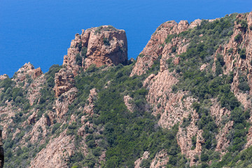 Fototapeta na wymiar Felsenlandschaft Calanches auf der Insel Korsika