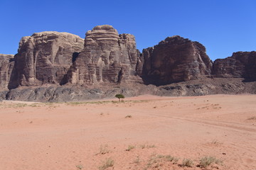 Fototapeta na wymiar Felsen, Wüste und ein Baum im Wadi Rum in Jordanien