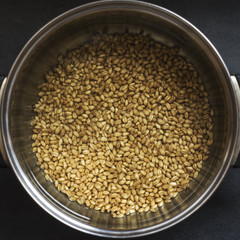 white wheat to make soup