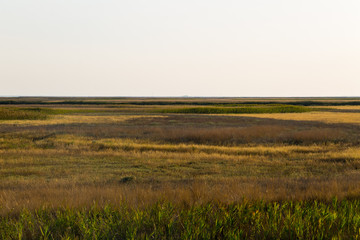 View on the Sivash lake, Ukraine