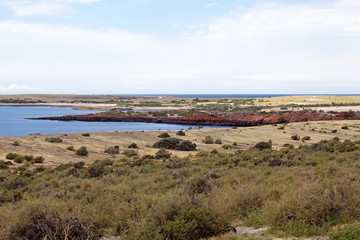 Punta Tombo in the Atlantic Ocean, Patagonia, Argentina