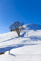 Winterlandschaft im Salzburger Land in den Kitzbühler Alpen (Mooralm) 