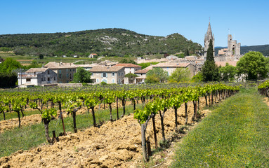 Fototapeta na wymiar Panoramic view of Aigueze