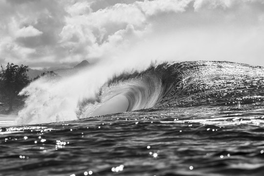 huge wave breaking in hawaii, black and white