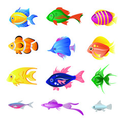 Fototapeta premium Vector set of bright fish isolated on the white
