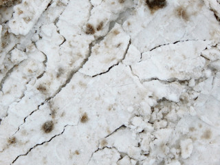 The thickness of the white cracked snow with brown dirty spots from the spray. Abstraction. Texture.