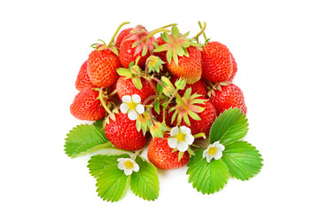 Strawberries with leaves. Isolated on a white background.