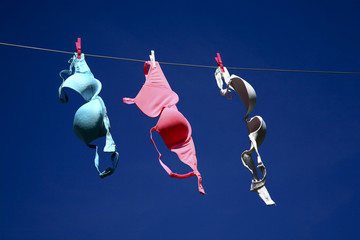 Bras pegged to a washing line drying on a summer day