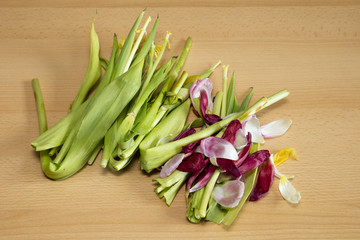 Abfall von verblühten Tulpen