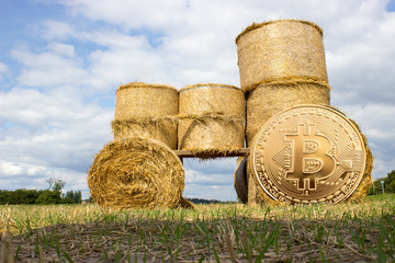 Crypto currency digital gold coin - abstract