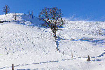 Obraz premium Winterlandschaft im Salzburger Land in den Kitzbühler Alpen (Mooralm) 