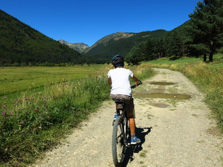 Fototapeta premium Vélo tout terrain dans la verdure sur chemin
