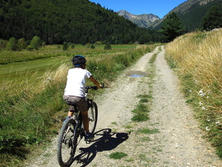 Obraz premium Vélo tout terrain dans la verdure sur chemin