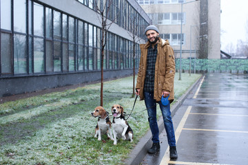 Handsome young hipster walking his dogs outdoors on snowy day