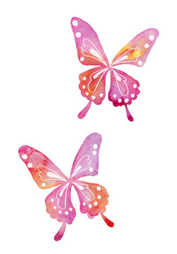 アゲハ蝶の水彩イラスト