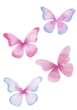 蝶の水彩イラスト