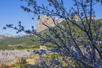 Spring in Els Port de Beseit, Tarragona, Spain