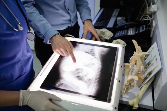 Vets examining x-ray of animal
