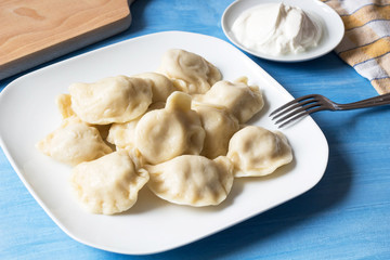 Fototapeta na wymiar traditional polish dumplings