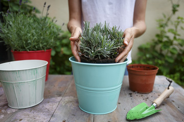 Mujer joven trabajando en jardinería