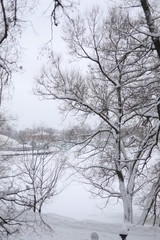 Fototapeta na wymiar beautiful winter landscape scenic view of a lot of snow