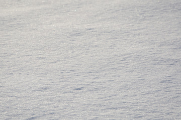 snow texture