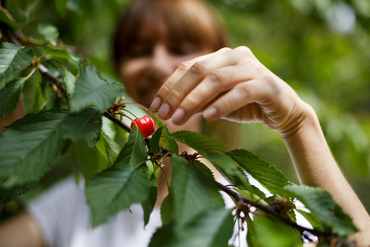 mano de mujer cogiendo una cereza