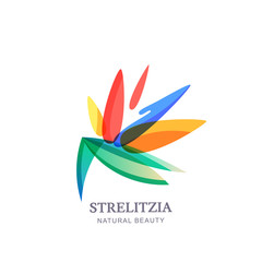 Vector logo icon or emblem with multicolor strelitzia tropical flower. Concept for spa and beauty salon, natural cosmetics and aesthetic cosmetology.