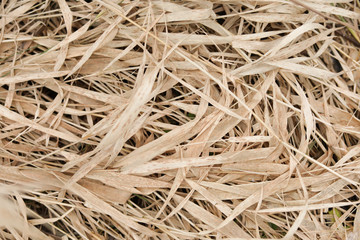 background hay dry grass oats rye
