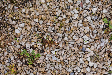 stones on the road beautiful background texture