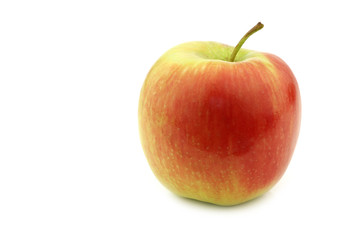 fresh new Dutch apple variety called 