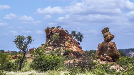 Boulders rocks in Mapungubwe National park, South Africa © PACO COMO