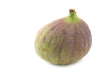 fresh fig (Ficus carica) on a white background