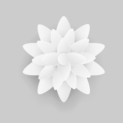 Paper flower lotus. isolated on background. Vector illustration.