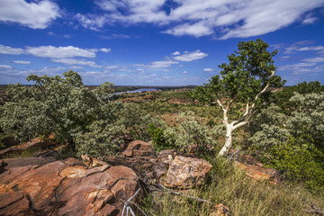 Scenery in Mapungubwe National park, South Africa