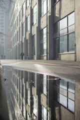 reflecting urban nature