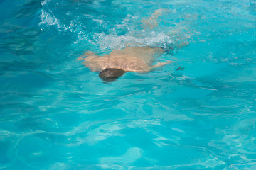 Obraz premium An attractive man is swimming in the pool.