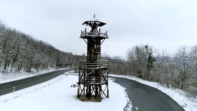 Raod with snowy winter forest