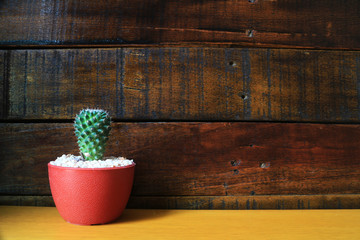 Little Cactus Wooden Background with Space for Text