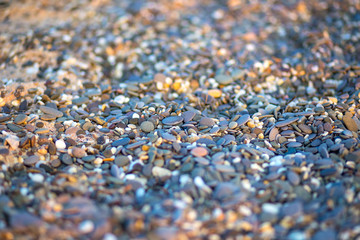 sea pebbles on the beach