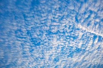Full Frame Background, beautiful receding altocumulus cloud formation.