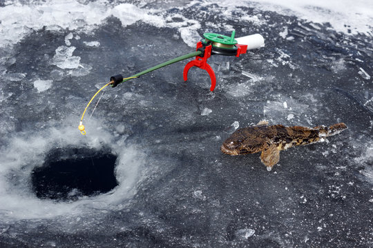  Fishing rod and one fish on ice near the ice hole