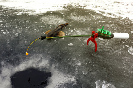 winter fishing, fishing rod and fish