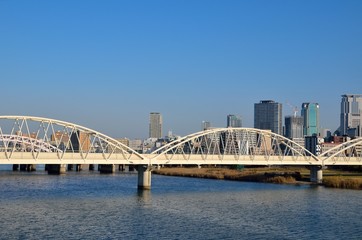 新十三大橋から梅田方面を望む